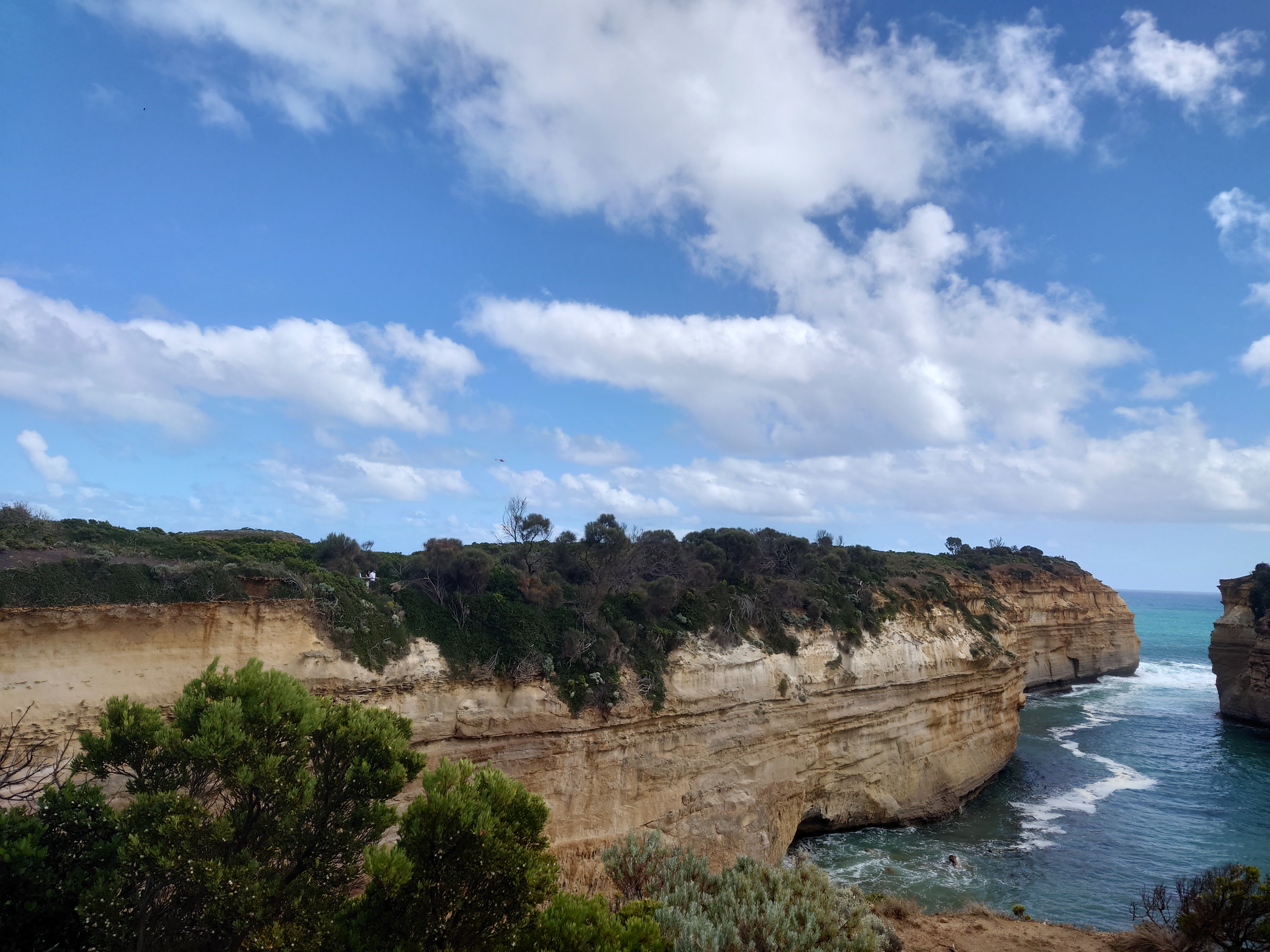 2026年2月24日，张先生一家海外身份获批！